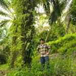 Ribuan Sawit Ilegal Ditebang, Jerhemy Owen Ikut Selamatkan Hutan Lindung di Aceh