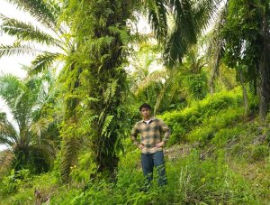 Ribuan Sawit Ilegal Ditebang, Jerhemy Owen Ikut Selamatkan Hutan Lindung di Aceh