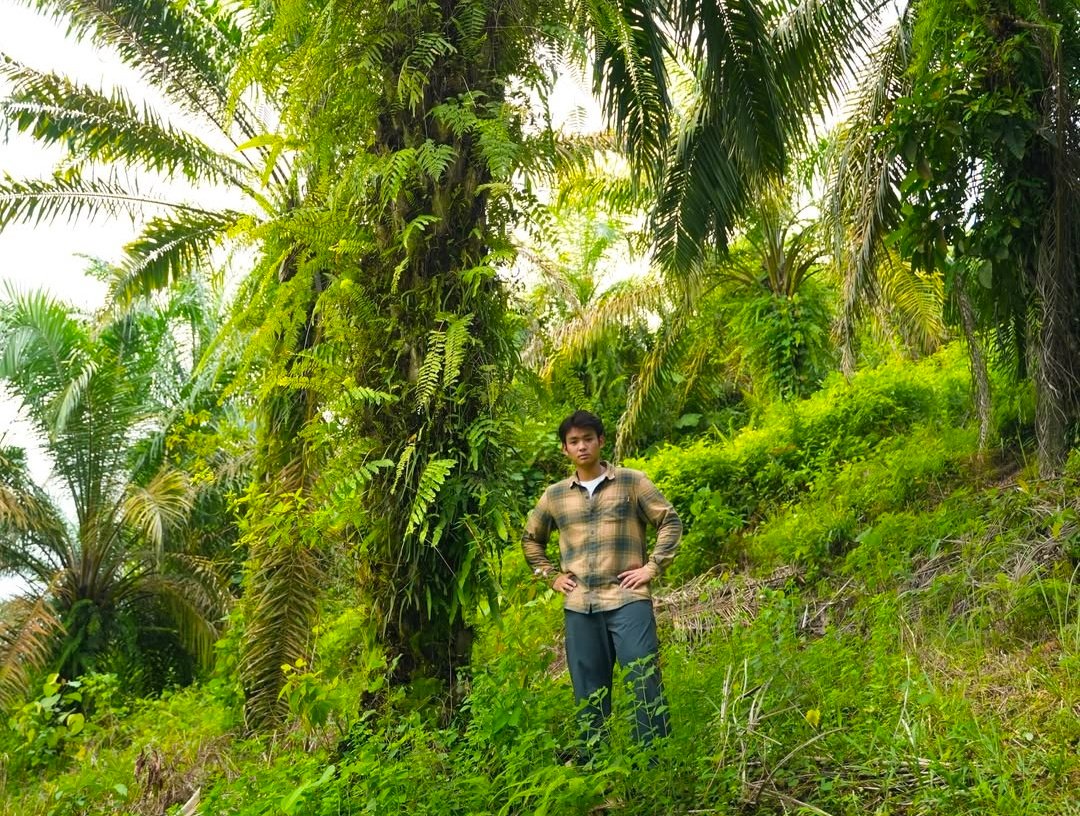 Ribuan Sawit Ilegal Ditebang, Jerhemy Owen Ikut Selamatkan Hutan Lindung di Aceh
