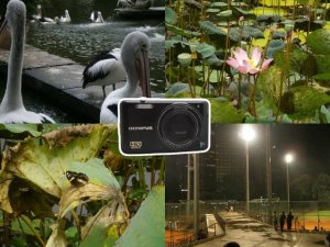Digicam Result