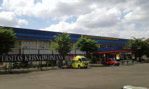 Krisnadwipayana
