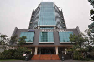 STM PPM