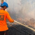 Relawan Karhutla Kotim Jatuh Bangun Padamkan Api, Dua Orang Tumbang