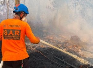 Relawan Karhutla Kotim Jatuh Bangun Padamkan Api, Dua Orang Tumbang