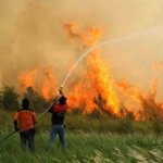 Dua Relawan Karhutla Kalteng Gugur, Asap dan Panas Jadi Ancaman di Garis Depan