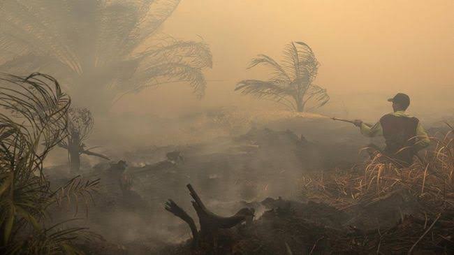 Asap Karhutla Kalimantan Meluas, Tiga Negara Tetangga Mulai Terdampak
